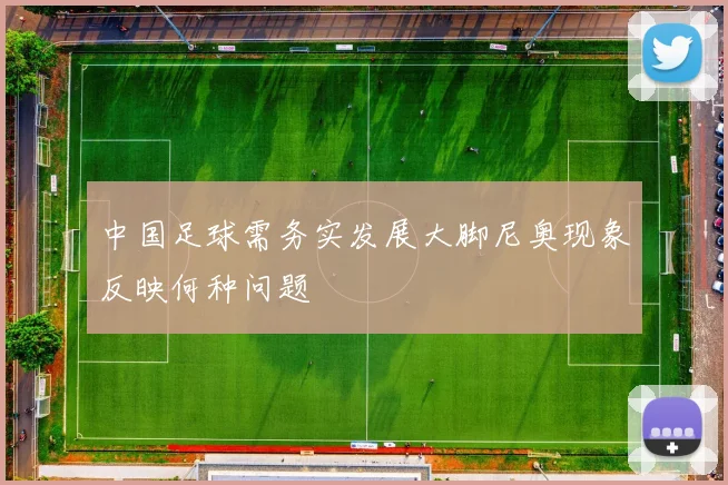 中国足球需务实发展大脚尼奥现象反映何种问题
